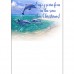 CHRISTMAS DREAMS Bahamas Dolphins